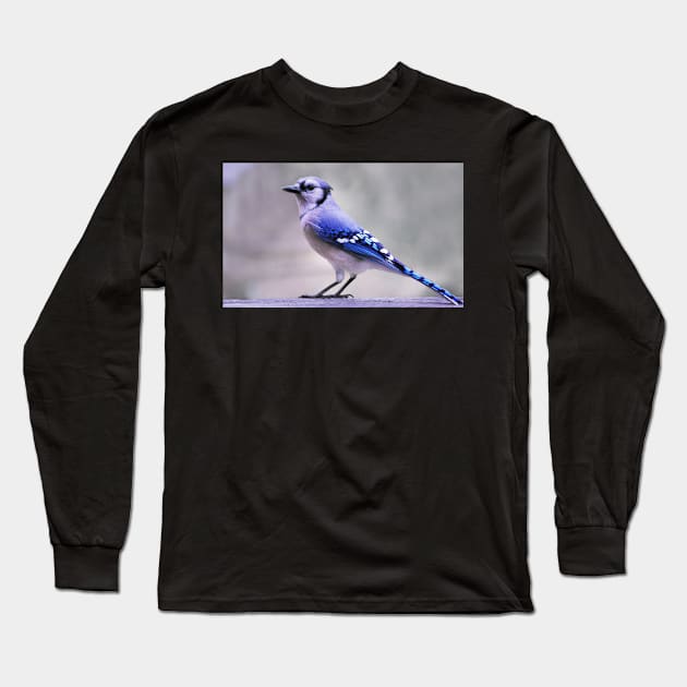 Blue Jay Day Long Sleeve T-Shirt by LaurieMinor
